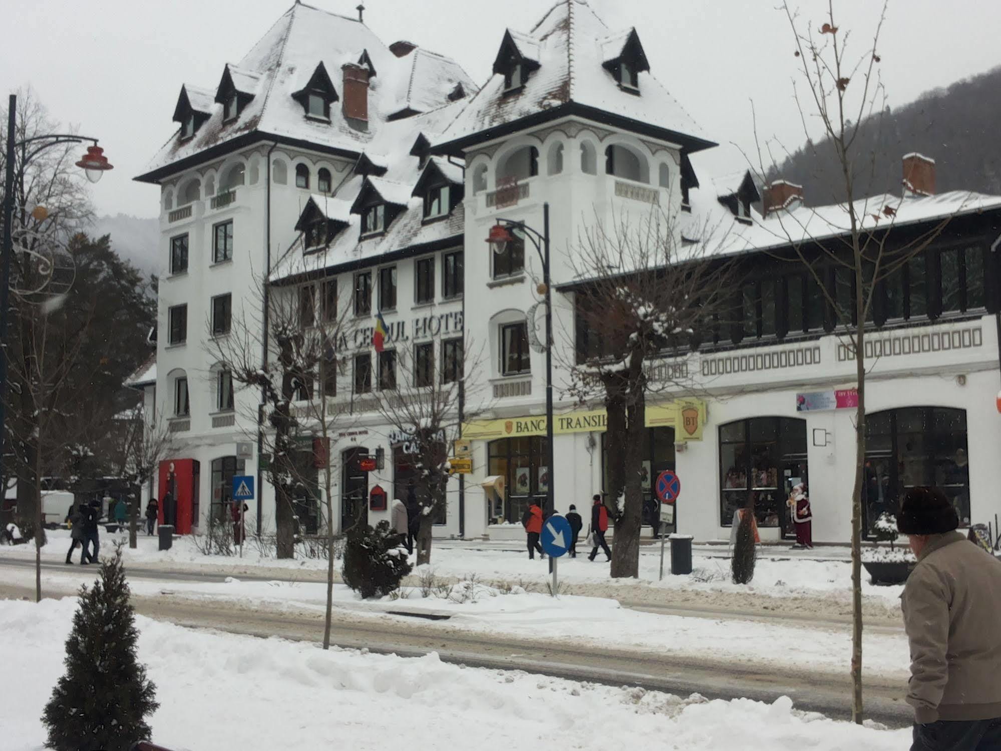 Hotel Rina Cerbul Sinaia Exterior foto